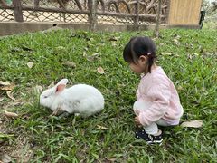 -佛冈森波拉度假区