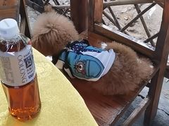 -荔景渔庄