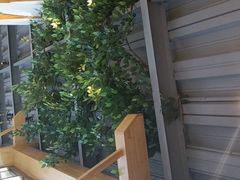 -金塔傣乡·云南民族特色菜·傣味手抓饭(金瓦路店)