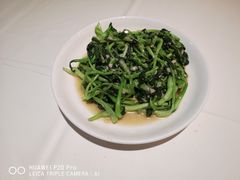 鸡毛菜-金春禧(世茂国际广场店)