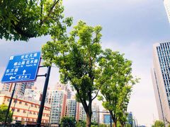 -陆家嘴世纪金融广场