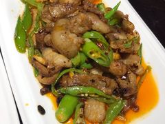 回锅肉-陈麻婆豆腐总店
