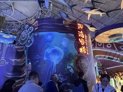 -烟台海昌鲸鲨海洋公园