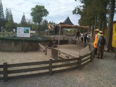 -前小桔亲子创意农场·草莓采摘·露营烧烤