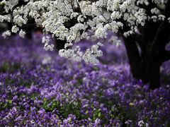 -江苏三台山国家森林公园