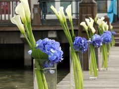 -FEI FEI FLOWER鲜花店·气球派对·宝宝宴布置(虹口德必运动Loft店)