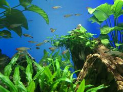 -太平洋海底世界