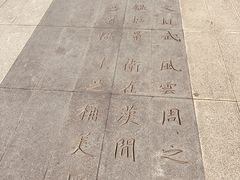 -桐乡凤凰湖