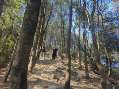 -北仑森林植物园