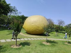 -顺峰山公园