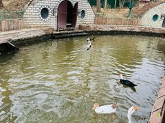 -南宫五洲植物乐园