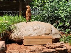 -云南野生动物园