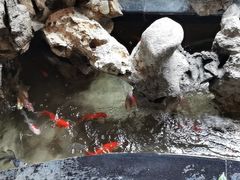 -御轩足道·SPA·养生·保健(瑞金北路店)