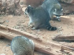 -昆明动物园