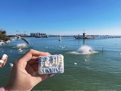 -昆明冠生园·蛋糕·面包(南强街店)