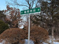 -沈阳鸟岛