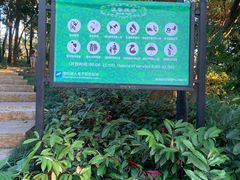 -小南山公园