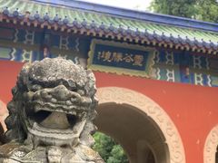 -灵谷景区