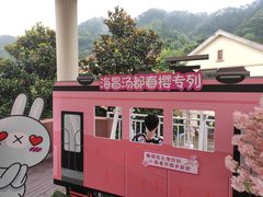 -重庆南山海昌汤都