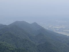 -大金鹰园