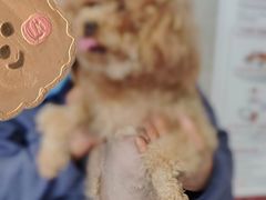 -关爱动物医院·心脏·中兽医·异宠(金牛路分院)