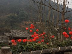 -楠柏弯休闲山庄(梨花溪店)