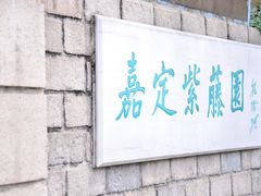 -嘉定紫藤园
