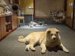 -大江户·温泉洗浴(浑南店)