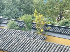 -圆通寺