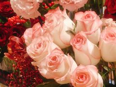 -深圳威尼斯英迪格酒店