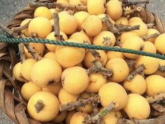 -塘栖枇杷特色园区