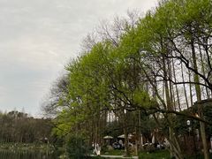 -西湖游船