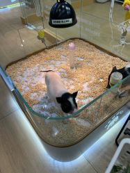 -小象动悟公园(龙湖亦庄天街店)