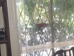 -贵州人家·酸汤火锅·20年老字号