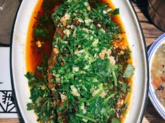 香辣炝锅鱼-树厨贵州菜(大十字店)