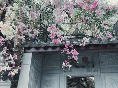 -深圳国际园林花卉博览园