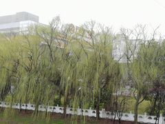 -上海颛桥万达广场