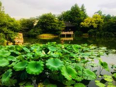 -杭州西子湖四季酒店·金沙厅