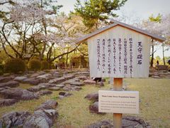 -名古屋城