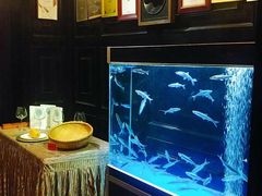 -翠府(翠湖北路店)