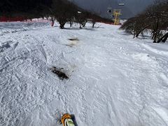 -太子岭滑雪场