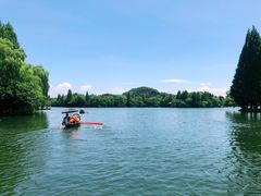 -善园自助餐厅(君澜·绍兴鉴湖大酒店)