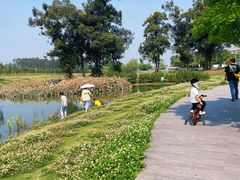 -两河城市森林公园