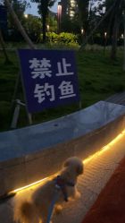 点击看大图 -IDOL-PLUS