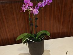 -白云中餐厅·粤菜·亚龙湾喜来登度假酒店