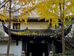 -复旦大学附属华山医院(总院)