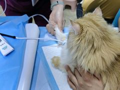 -美联众合动物医院·24h转诊中心