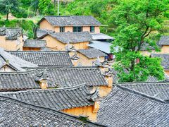 -杨家堂村