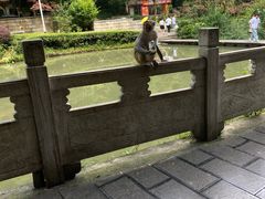 -黔灵山公园
