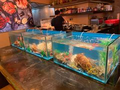 阿拉斯加帝王蟹腿-富力丽思卡尔顿酒店·香荟全日制餐厅